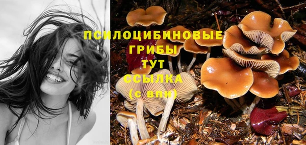 стаф Алексин