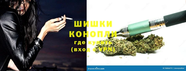 дурь Белая Холуница