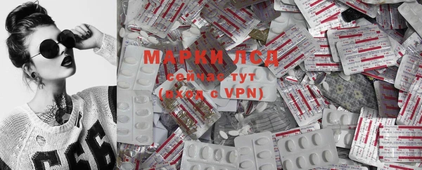 стаф Алексин