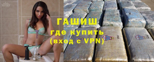 стаф Алексин