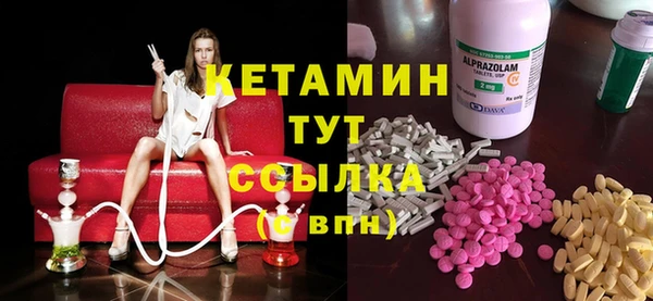 стаф Алексин