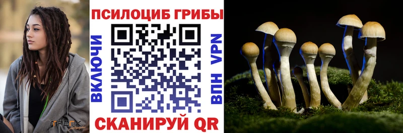 купить наркоту  mega ссылки  Псилоцибиновые грибы прущие грибы  Безенчук 